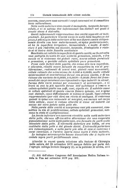 Giornale internazionale delle scienze mediche