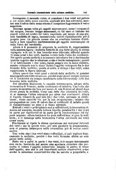 Giornale internazionale delle scienze mediche