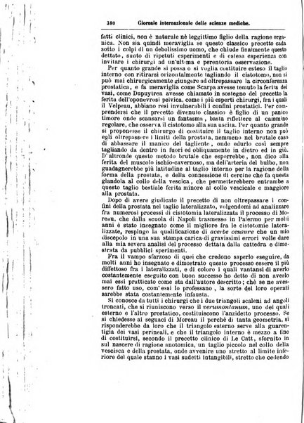 Giornale internazionale delle scienze mediche