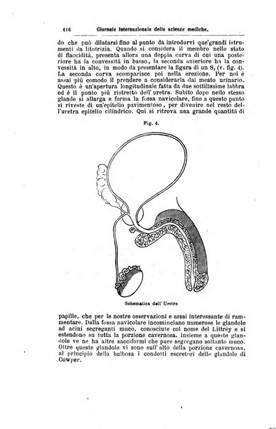 Giornale internazionale delle scienze mediche