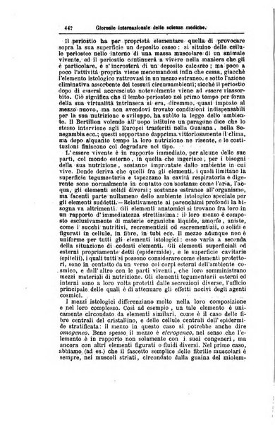 Giornale internazionale delle scienze mediche