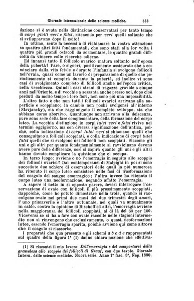 Giornale internazionale delle scienze mediche