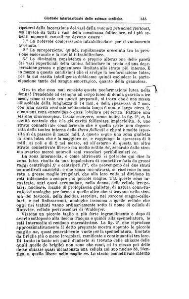 Giornale internazionale delle scienze mediche