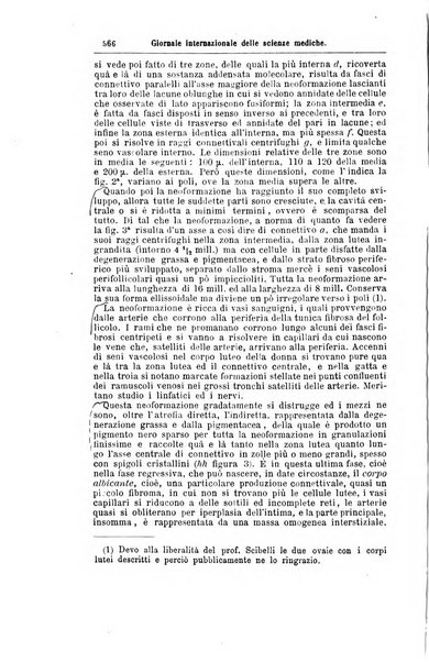 Giornale internazionale delle scienze mediche