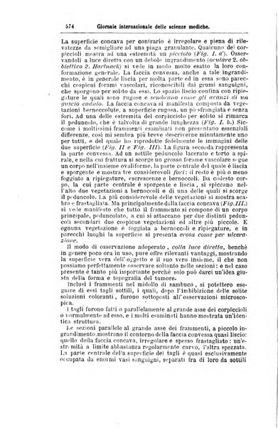 Giornale internazionale delle scienze mediche