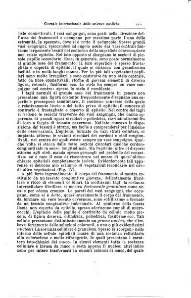 Giornale internazionale delle scienze mediche