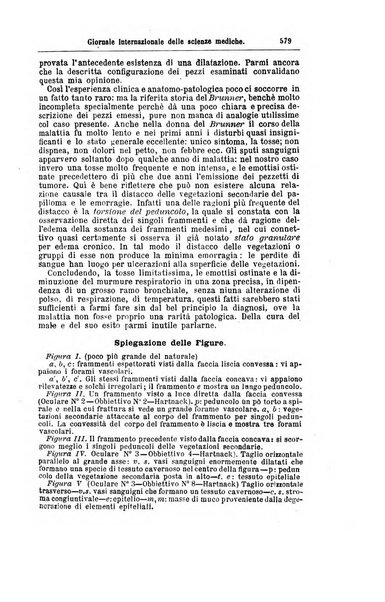 Giornale internazionale delle scienze mediche