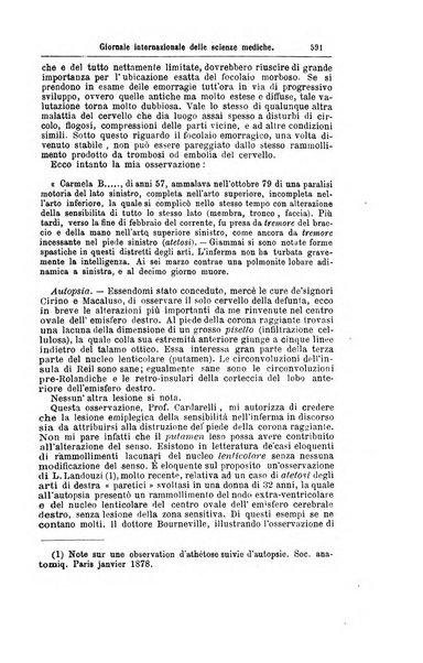 Giornale internazionale delle scienze mediche