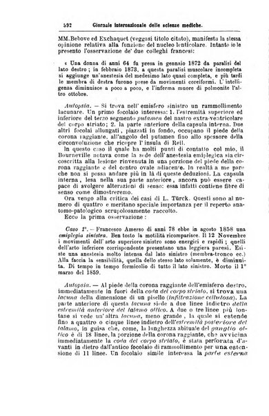 Giornale internazionale delle scienze mediche