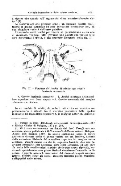 Giornale internazionale delle scienze mediche