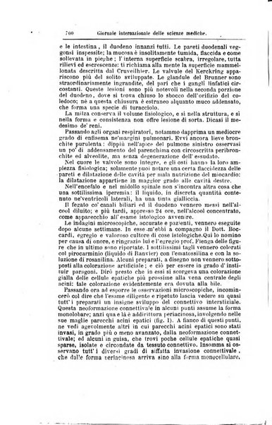 Giornale internazionale delle scienze mediche