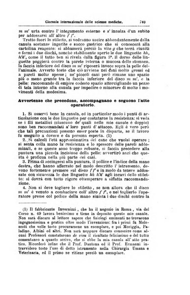 Giornale internazionale delle scienze mediche