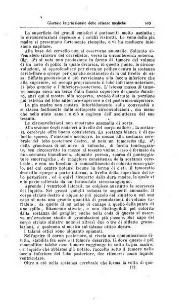 Giornale internazionale delle scienze mediche