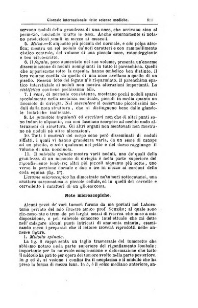 Giornale internazionale delle scienze mediche