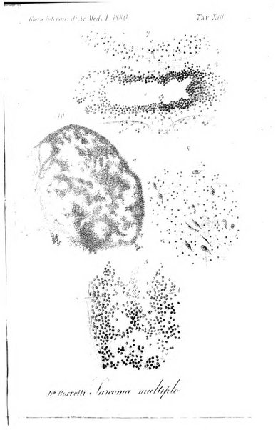 Giornale internazionale delle scienze mediche