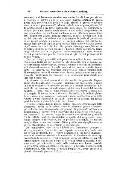 Giornale internazionale delle scienze mediche