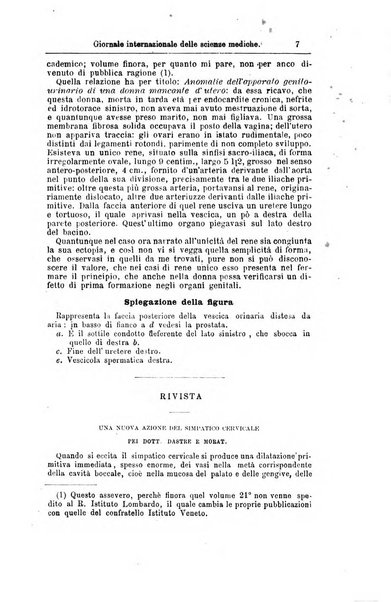 Giornale internazionale delle scienze mediche