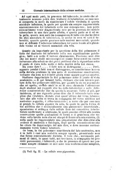 Giornale internazionale delle scienze mediche