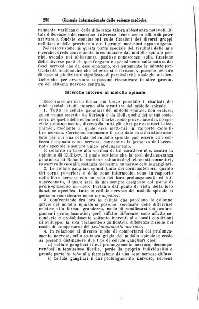 Giornale internazionale delle scienze mediche