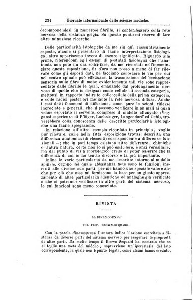 Giornale internazionale delle scienze mediche