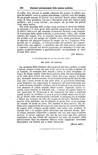 Giornale internazionale delle scienze mediche