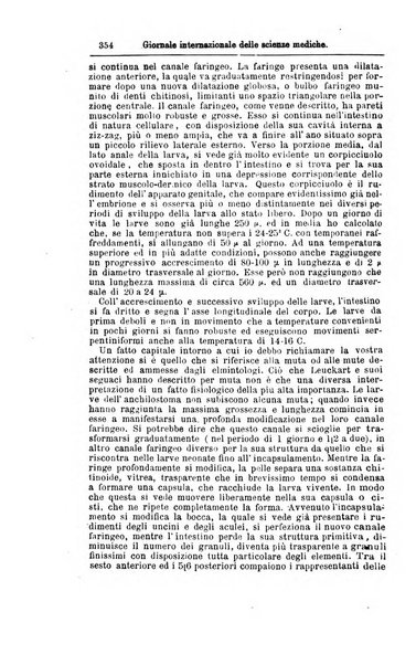 Giornale internazionale delle scienze mediche