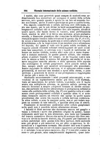 Giornale internazionale delle scienze mediche