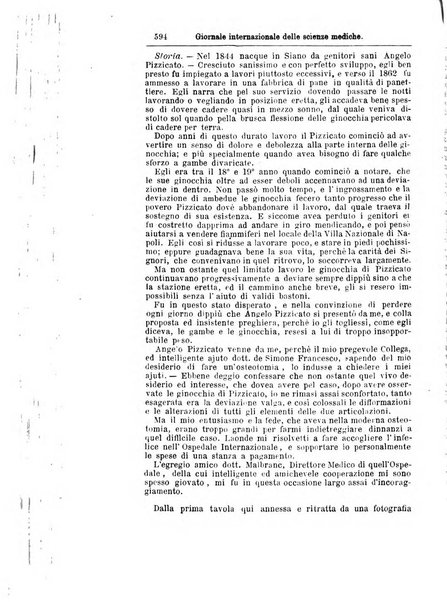 Giornale internazionale delle scienze mediche