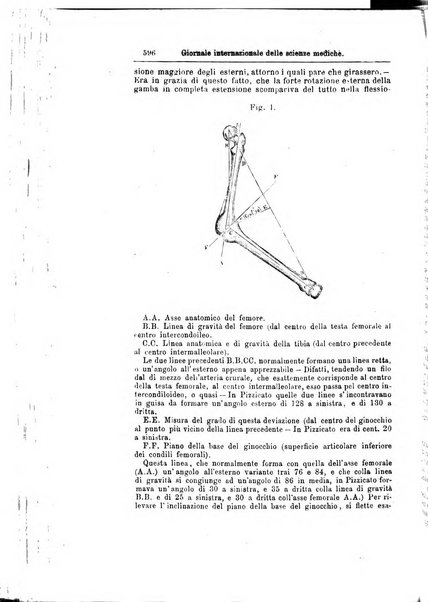 Giornale internazionale delle scienze mediche