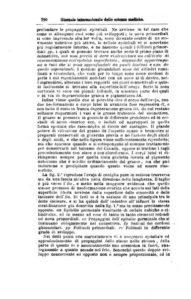 Giornale internazionale delle scienze mediche