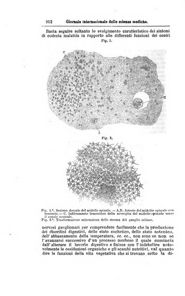 Giornale internazionale delle scienze mediche