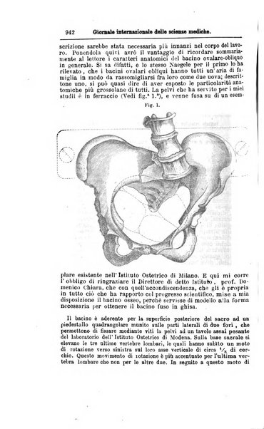 Giornale internazionale delle scienze mediche