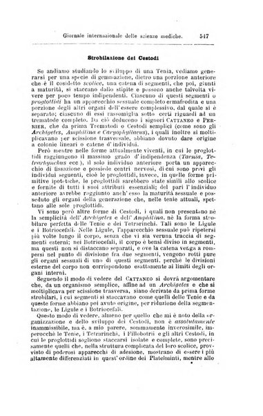 Giornale internazionale delle scienze mediche