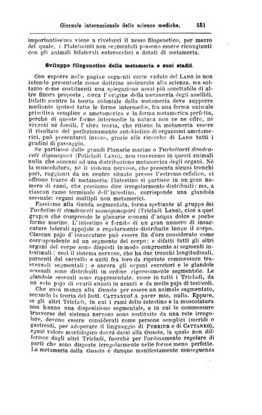 Giornale internazionale delle scienze mediche