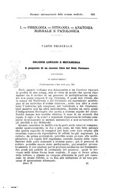 Giornale internazionale delle scienze mediche