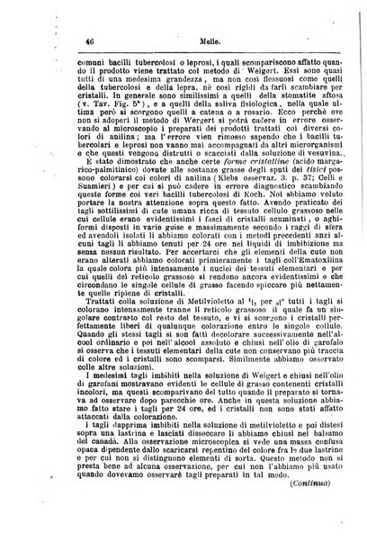 Giornale internazionale delle scienze mediche