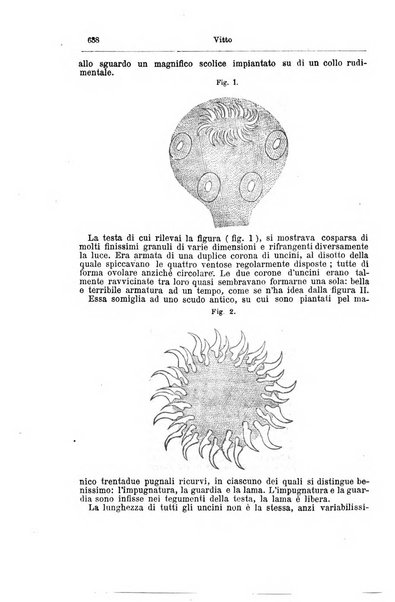 Giornale internazionale delle scienze mediche