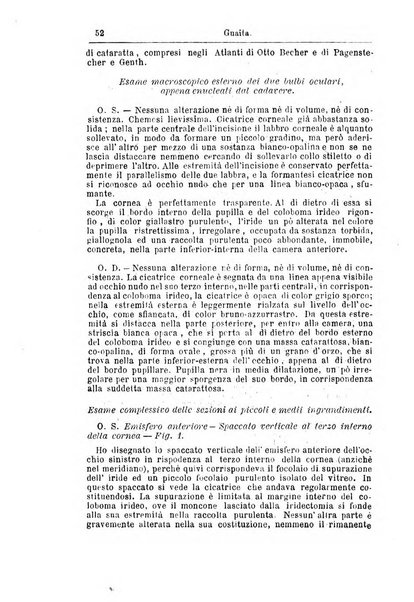 Giornale internazionale delle scienze mediche