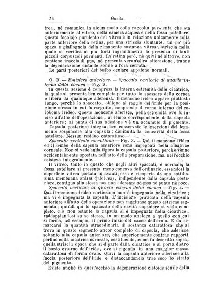 Giornale internazionale delle scienze mediche