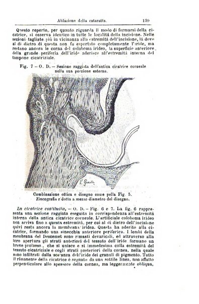 Giornale internazionale delle scienze mediche