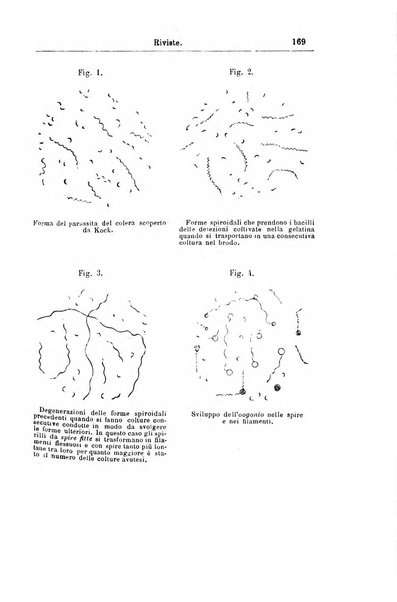 Giornale internazionale delle scienze mediche