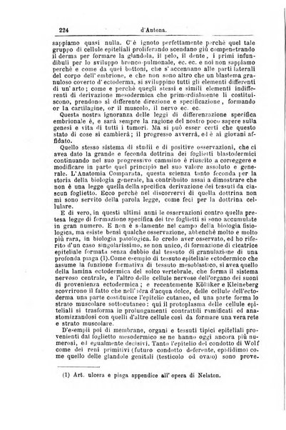 Giornale internazionale delle scienze mediche