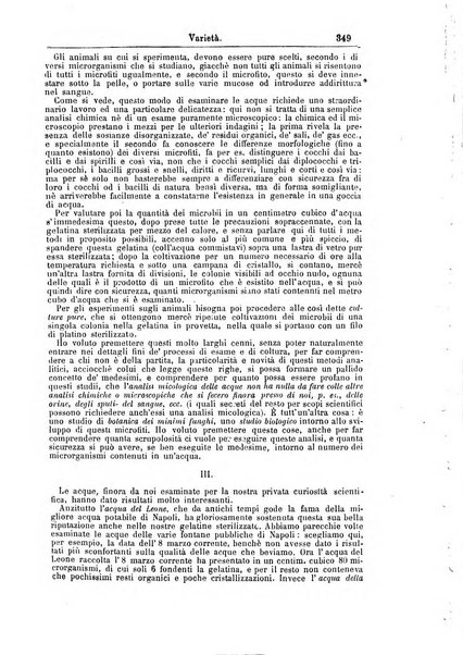 Giornale internazionale delle scienze mediche