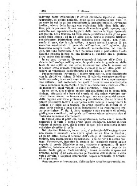 Giornale internazionale delle scienze mediche