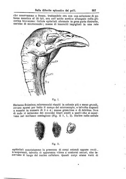 Giornale internazionale delle scienze mediche