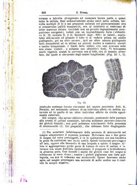 Giornale internazionale delle scienze mediche