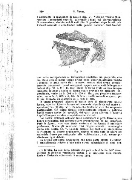 Giornale internazionale delle scienze mediche