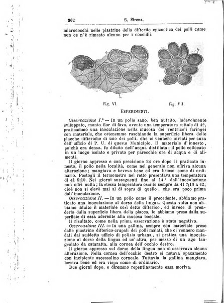 Giornale internazionale delle scienze mediche