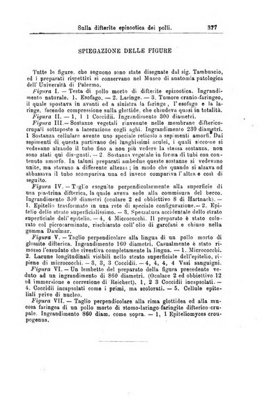 Giornale internazionale delle scienze mediche