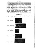 giornale/NAP0021576/1885/unico/00000500